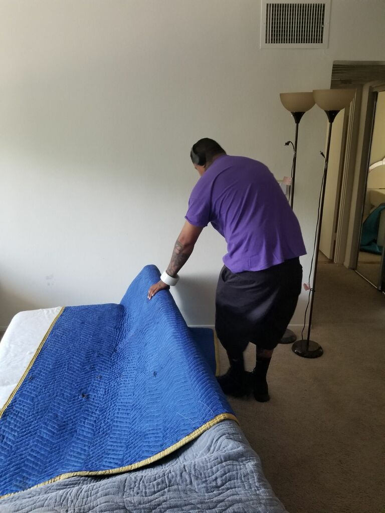 Mover carrying boxes into a truck in Long Beach — check reviews and licensing before hiring movers